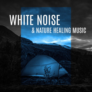 อัลบัม White Noise & Nature Healing Music - Meditation, Peace, Water Sounds, Mind Relaxation ศิลปิน Night White Noise Universe