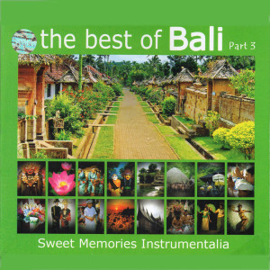 Album The Best Of Bali, Pt. 3 from I Gusti Sudarsana