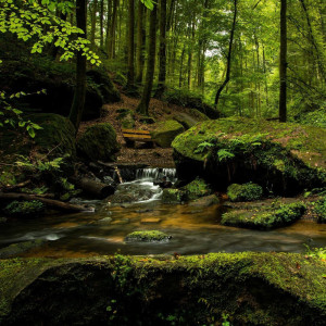 Dengarkan Super Rainy lagu dari Sleep Sounds of Nature dengan lirik