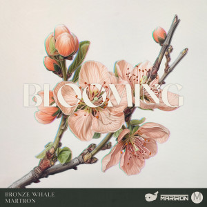 Album Blooming from Bronze Whale