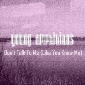ดาวน์โหลดและฟังเพลง Don't Talk to Me (Like You Know Me) พร้อมเนื้อเพลงจาก Young Amphibians