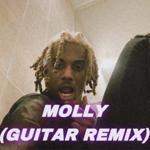 收聽Ragex的Molly (Guitar Remix|Explicit)歌詞歌曲