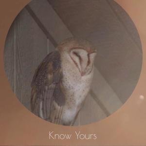 Listen to Yourselves Macrocosm song with lyrics from Edlene