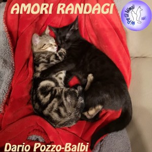 อัลบัม Amori Randagi ศิลปิน Dario Pozzo-Balbi