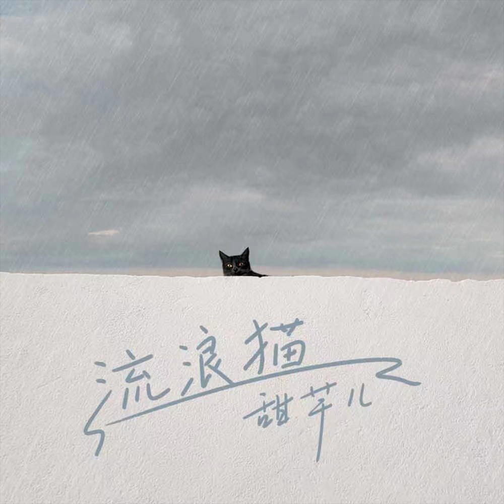 流浪猫 (伴奏)