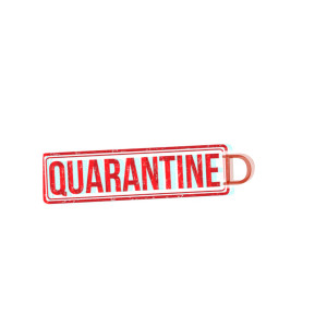 Listen to Quarantined (Explicit) song with lyrics from Portal