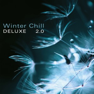 Various Artists的專輯Winter Chill Deluxe 2.0