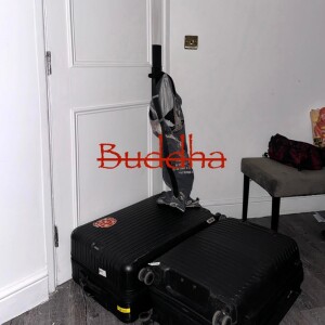 Album Buddha from 