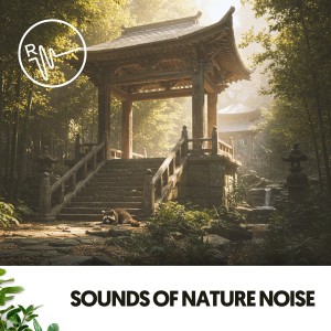 Música Relajante Para Leer的專輯Sounds of Nature Noise: Melodies of Water