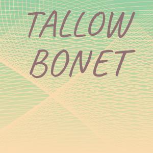 收聽Atte Mser的Bottom Ulanova歌詞歌曲
