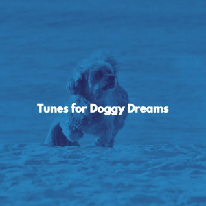 Tunes for Doggy Dreams