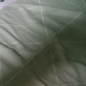 Album Aku from Tahu