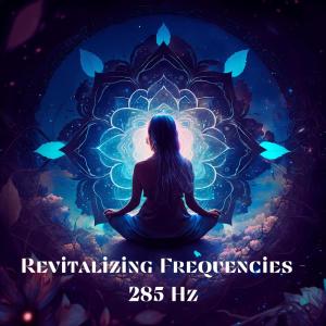 Album Revitalizing Frequencies - 285 Hz from Savasana