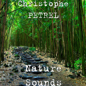 收聽Christophe Petrel的Fire Drill Sound歌詞歌曲