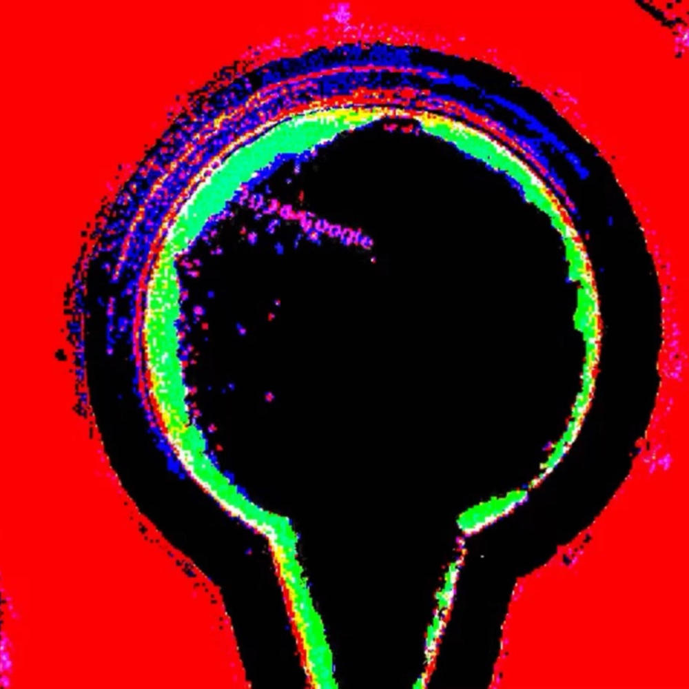 NVNV (Explicit)