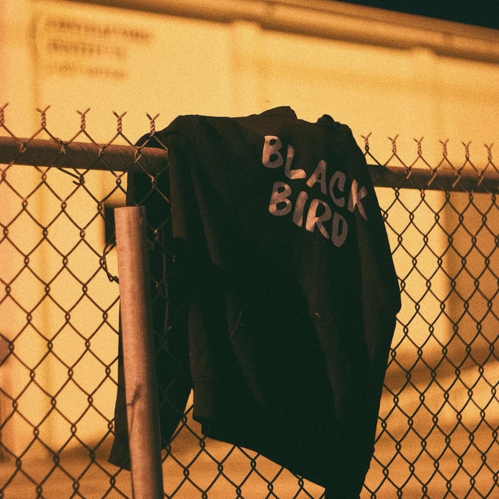 Sparrow (Explicit)