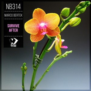 收聽Marco Bertek的Survive After (Original Mix)歌詞歌曲