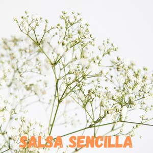 Listen to Gracias song with lyrics from Yanfourd