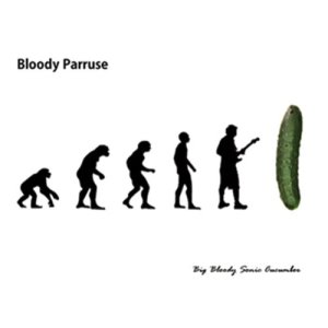 收聽Bloody Parruse的Conan歌詞歌曲