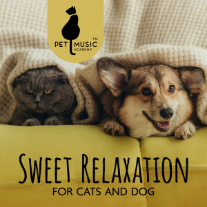 Album Sweet Relaxation for Cats and Dog (Purrfectly Calm, Sleeping Mood, Pet Serenity) oleh Pet Music Academy