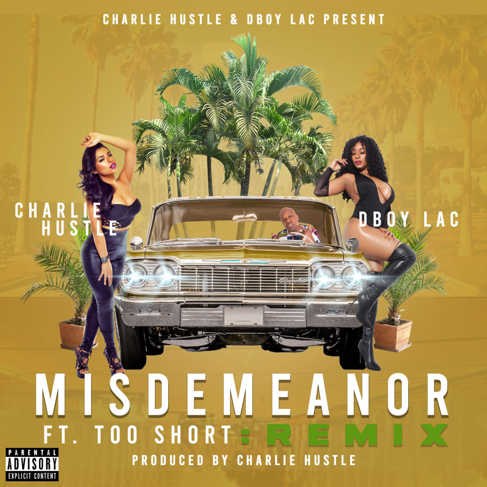 Misdemeanor (Remix) (Explicit) (Remix|Explicit)