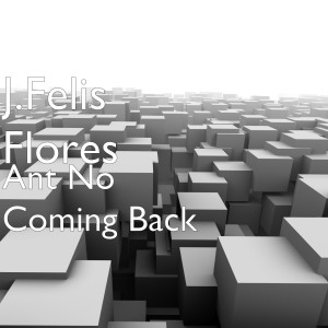 收听J.Felis Flores的Ant No Coming Back (Explicit)歌词歌曲