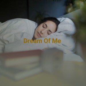 收聽The Kalin Twins的Dream of Me歌詞歌曲