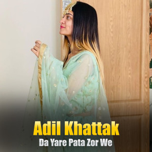 Listen to Na De Da Janan Meena Zama Sara song with lyrics from Adil Khattak