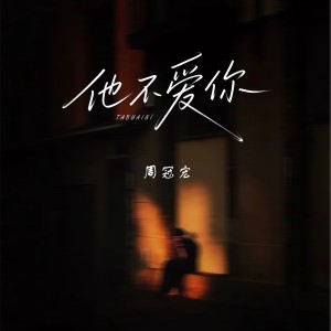 Album 他不爱你 from 周冠宏