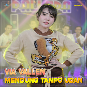 Dengarkan lagu Mendung Tanpo Udan nyanyian New Pallapa Official dengan lirik