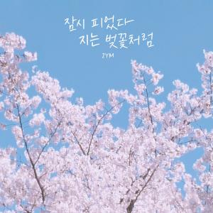 2YM的專輯잠시 피었다 지는 벚꽃처럼