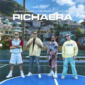 Baby Rasta & Gringo的專輯Pichaera