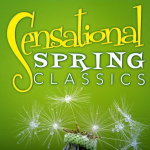 ดาวน์โหลดและฟังเพลง Serenade No. 13 in G Major, K. 525, "Eine kleine Nachtmusik": II. Romanze พร้อมเนื้อเพลงจาก Northern String Quartet
