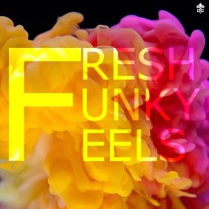 D.Lynch的專輯Fresh Funky Feels