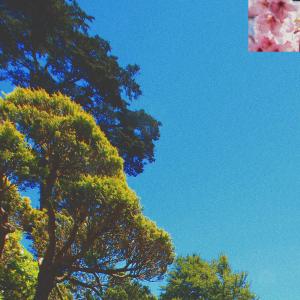 Juca的專輯little garden