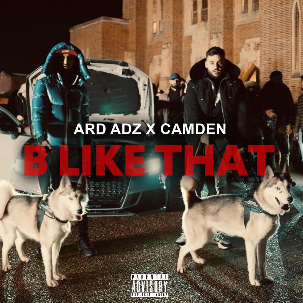 B Like That (feat. Ard Adz) (Explicit)