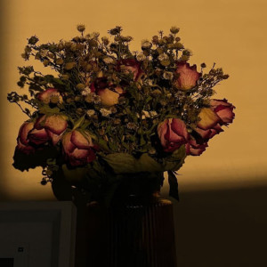 收聽SYRYS的LOVE LETTER (Explicit)歌詞歌曲