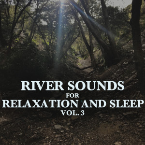 Mother Nature Soundscapes的专辑River Sounds for Relaxation and Sleep, Vol. 3