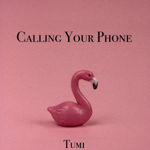 Tumi的專輯Calling Your Phone