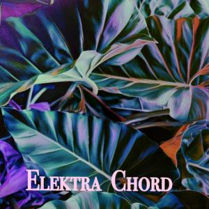 Listen to Little Secrets song with lyrics from Elektra Chord