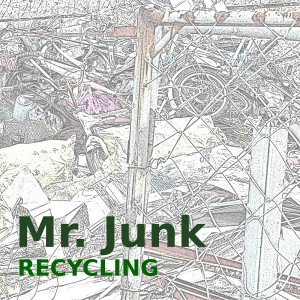 收听Mr. Junk的너를 위해서歌词歌曲
