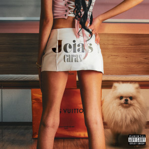 Nivy的專輯Joias Caras (Explicit)