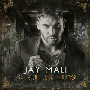 Album Es Culpa Tuya oleh Jay Maly