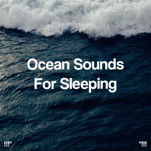 Album !!!" Ocean Sounds For Sleeping  "!!! from Ocean Sounds