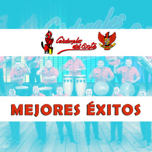 Album Mejores Exitos from Cardenales del Exito