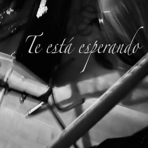 收聽Teco的Te Esta Esperando歌詞歌曲