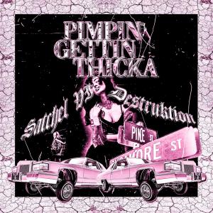 PIMPIN GETTIN THICKA (feat. DESTRUKTION) (Explicit) dari Destruktion