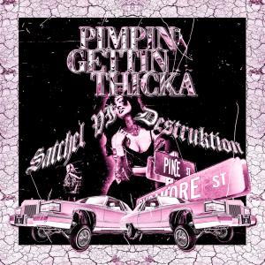 Satchel VI的專輯PIMPIN GETTIN THICKA (feat. DESTRUKTION) (Explicit)
