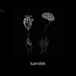 Album Za Późno Na Zmianę (Explicit) from kamilek