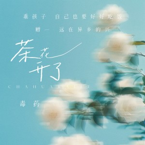 อัลบัม 茶花开了《赠友人》 ศิลปิน 毒药